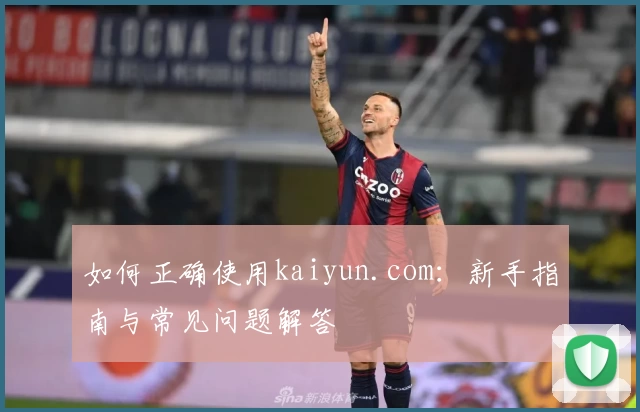 如何正确使用kaiyun.com:新手指南与常见问题解答