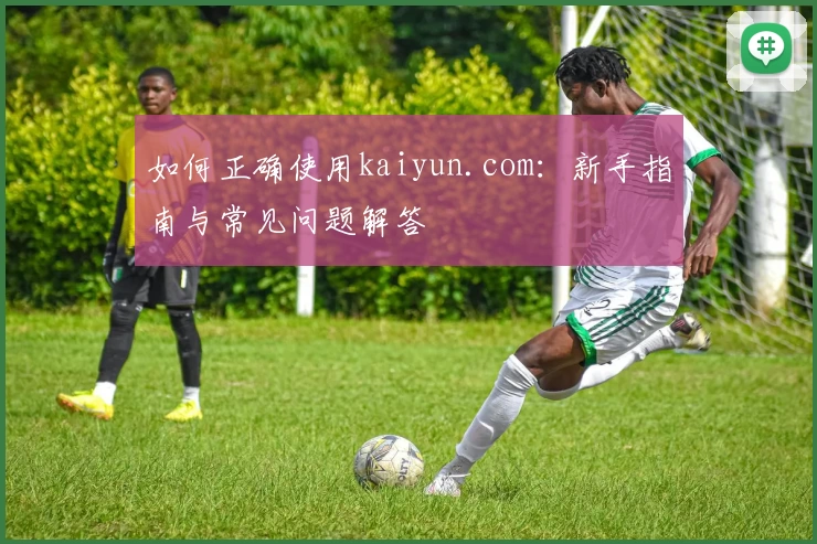 如何正确使用kaiyun.com:新手指南与常见问题解答