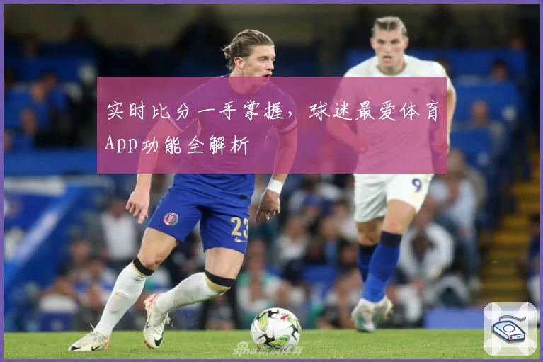 实时比分一手掌握,球迷最爱体育App功能全解析