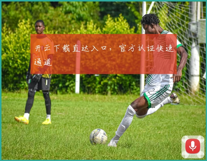 开云下载直达入口，官方认证快速通道