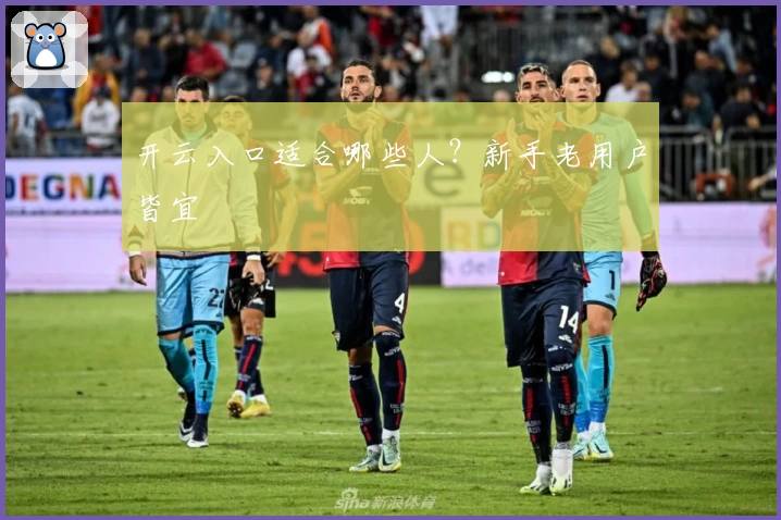 开云入口适合哪些人？新手老用户皆宜